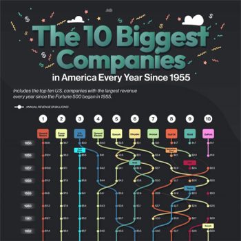 Which Fortune 500 Company Earns the Most Money?