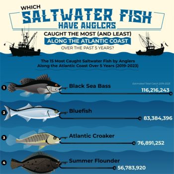 Atlantic Fishing Chart Displays the Easiest and Hardest Catches