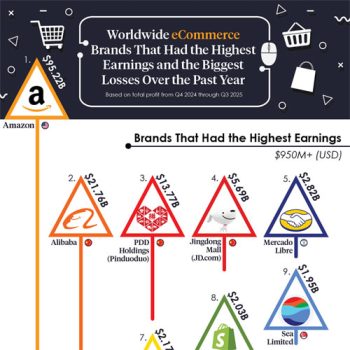 Graphic Shows the State of E-Commerce Brands with 2025 Earnings and Losses